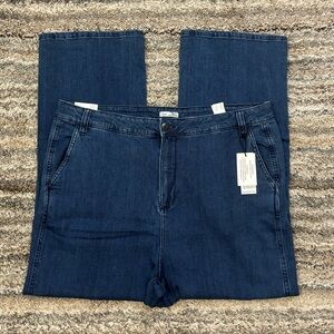Dex High Rise Straight Leg Jeans Sz 20 NWT | Straight Leg Women Denim Sz 20 New-